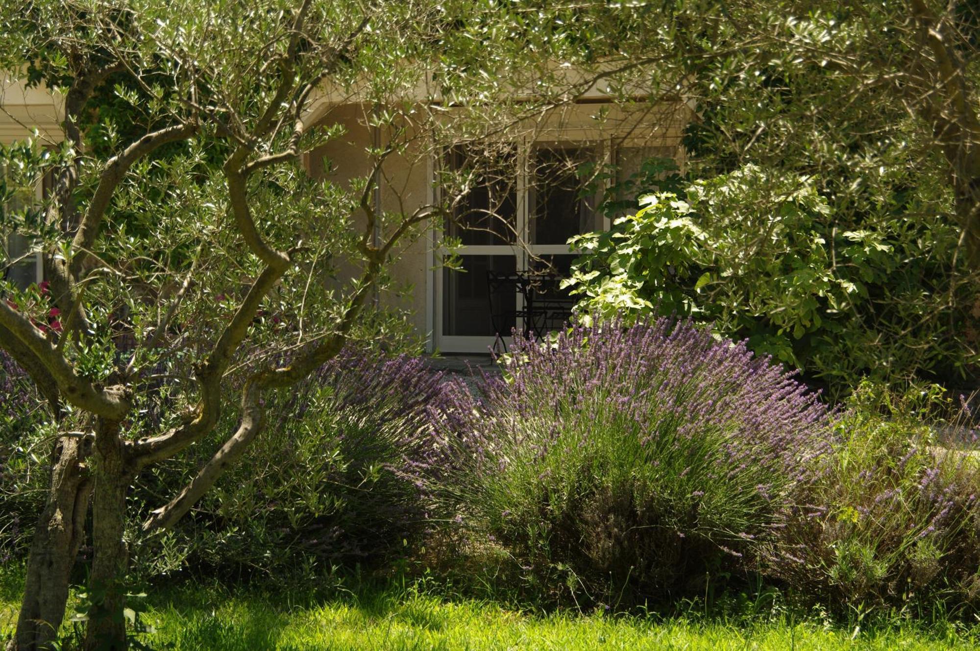 Residence Le Saint Victor Fontvieille Exterior photo